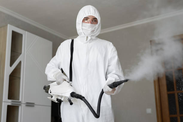 Why You Should Choose Our Mold Remediation Services in Albany, OR